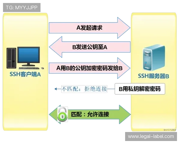 解决AG国际app登录困难，提供多种登录方式与常见问题解决方案